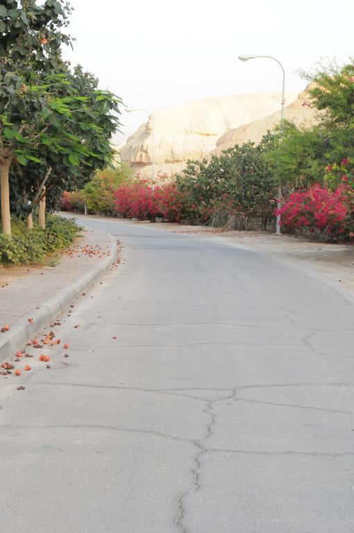 Neot HaKikar Dead Sea Dawnヴィラ エクステリア 写真